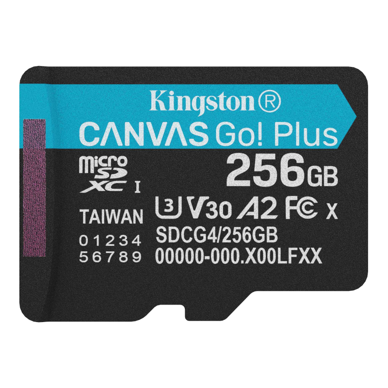 Карта пам'яті Kingston microSDXC 256GB Canvas Go! Plus (SDCG4/256GBSP)